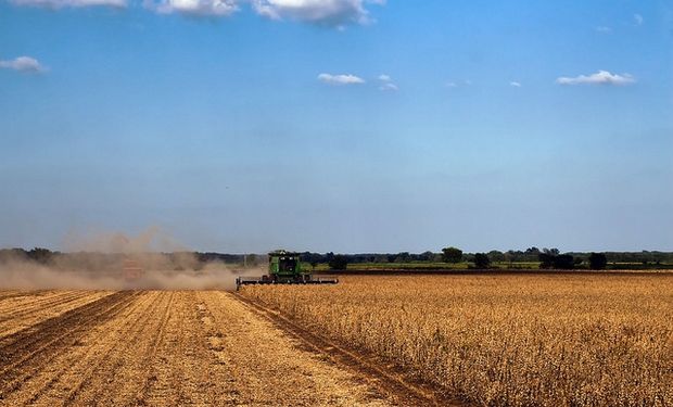 Agricultura y AFIP, realizarán un relevamiento para determinar cuál es realmente el porcentaje que representa la producción en campos alquilados.