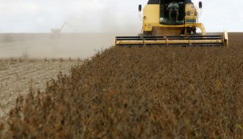 Por el mal clima la venta de soja va más lenta