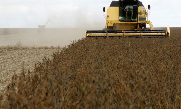 Por el mal clima la venta de soja va más lenta