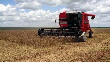 Paraguay inicia cosecha de soja con rendimientos dispares