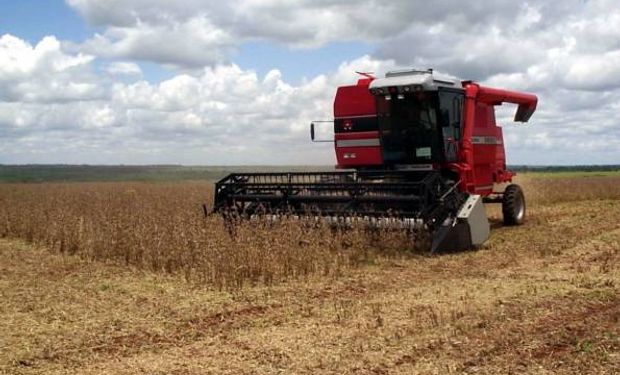 Paraguay inicia cosecha de soja con rendimientos dispares