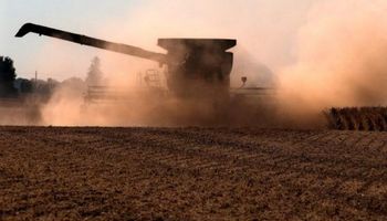 Récord histórico: 60 M de toneladas para la cosecha de soja