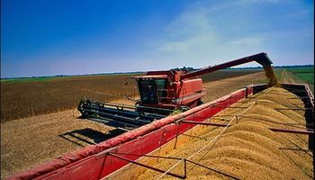 Oferta de soja en América del Sur alcanzaría un valor récord