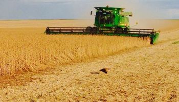 Centro sur de Santa Fe: rindes de soja marcarán nuevo hito