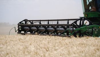 El trigo tiene la mayor probabilidad de ser el cultivo más rentable del ciclo 2013/14