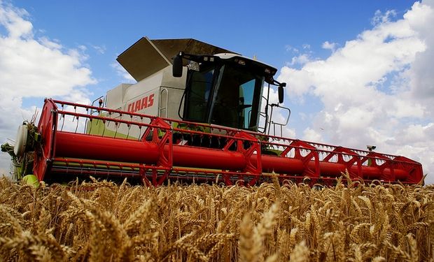 El trigo tiene la mayor probabilidad de ser el cultivo más rentable del ciclo 2013/14