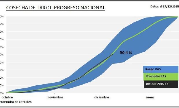 Progreso nacional de la cosecha de trigo. Fuente: BCBA.