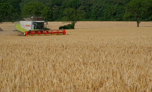 "Lo que estamos evaluando, y lo vamos a observar claramente en enero es efectivamente cuánto es el total cosechado en materia de trigo", dijo Capitanich.
