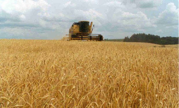 Al paro se suma una caída de la AFIP que paraliza al mercado de granos en plena cosecha