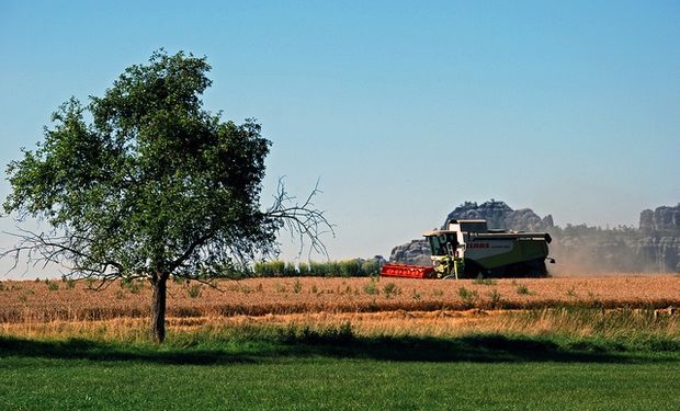 Buzzi anunció un plan de lucha agropecuario