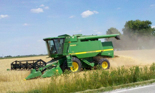 Recortan producción de trigo en EE.UU.