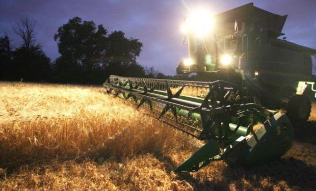 En plena cosecha de trigo nuevo los productores no venden.