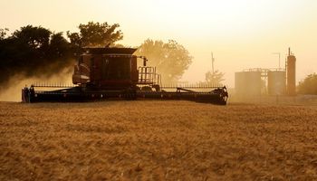 Se movilizó 30% menos de máquinas para cosechar trigo