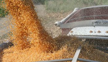 Aumento en las estimaciones de cosecha