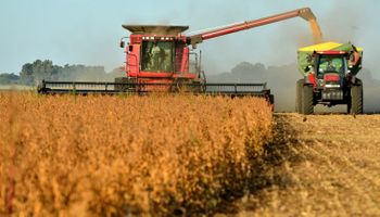 Clima ayuda a retomar las labores de cosecha