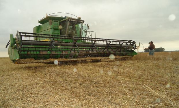 Se verían afectadas las tareas en el campo