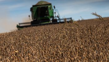 El nuevo gigante del agro que pasaría a liderar la exportación en Argentina