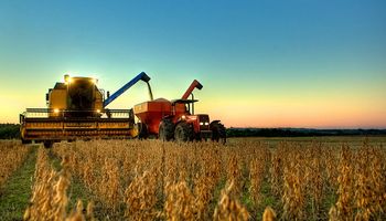 Brasil se encamina a lograr una producción de granos récord