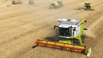 La cosecha de soja asciende al 77% de la superficie apta