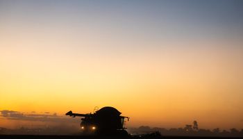 A seis años del inicio del concurso, 664 acreedores de Vicentin recibieron plata: "Este acto marca un nuevo y trascendente hito"