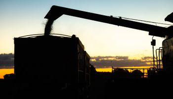 Sube fuerte el precio de la soja, con impacto en el mercado local y en el principal producto de exportación de la Argentina