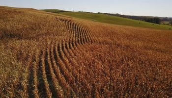 Acuerdo comercial, atrasos de cosecha y datos del USDA: los factores que sigue el mercado