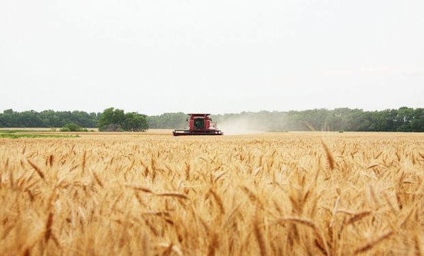 El vencimiento encuentra a los productores en inicio de cosecha, cuestión que agrava el cumplimiento de la normativa.