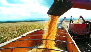 Recolección de los cultivos de verano entra en la etapa final