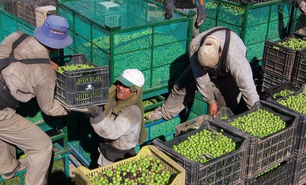 En el 2016, las acciones estuvieron enfocadas a la capacitación de los productores.