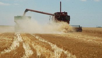 FAO estima una cosecha récord de cereales