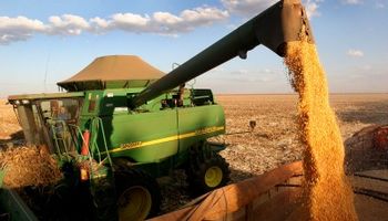 Brasil contará con una cosecha récord de granos