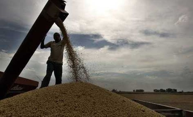 Bolsa de Cereales sube estimación de soja a 55,5 M.Tn.