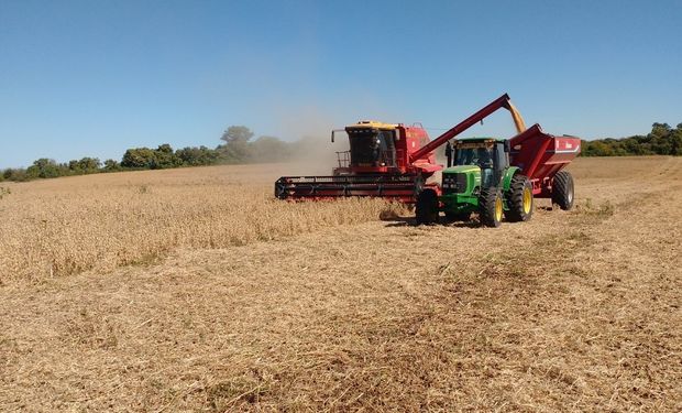 Entre Ríos reclamó la emergencia agropecuaria por sequía para los departamentos del sur