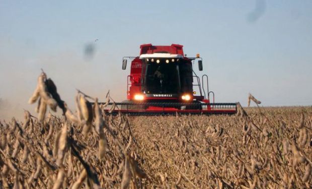 Soja: la campaña tendrá la producción más baja de la última década en zona núcleo 