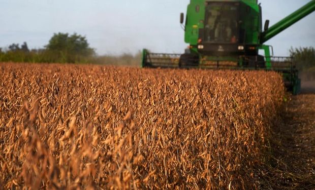 Avanza la cosecha de soja y los rendimientos promedios aumentaron en el centro y norte de Santa Fe