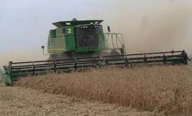 El precio de la soja en el mercado local se negoció con una suba de US$ 5 por tonelada