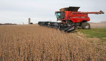 Rebote en Chicago a la espera de los datos del USDA: cuánto se pagó en Rosario