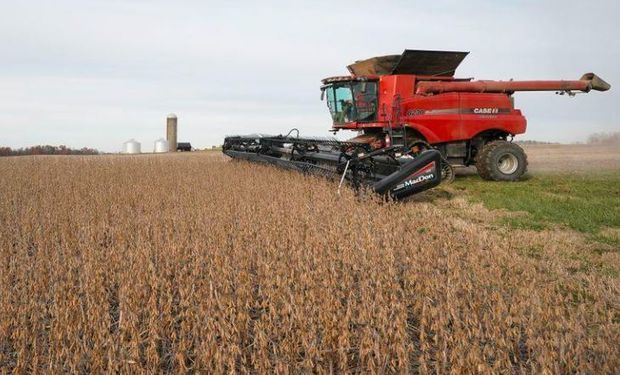 Rebote en Chicago a la espera de los datos del USDA: cuánto se pagó en Rosario