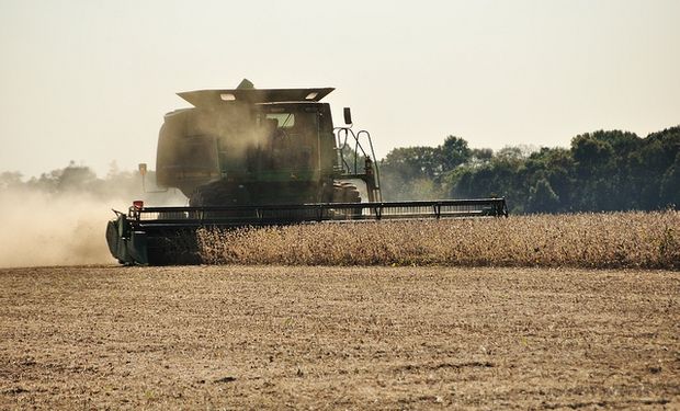 Pese a lluvias, se cosechó un 14% de soja