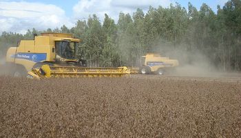 Avanza la cosecha de soja en Brasil