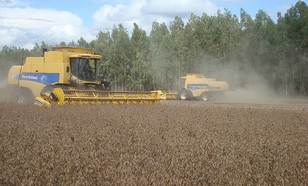 Avanza la cosecha de soja en Brasil