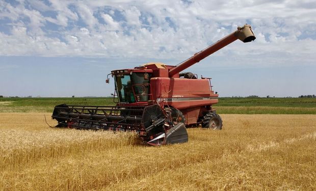 La eliminación de las retenciones y la baja en las de soja impulsó la cosecha argentina, sobre todo en el caso de los cereales.