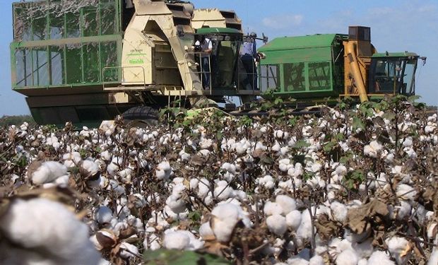 Trabajadores algodoneros obtuvieron un aumento salarial del 30 %