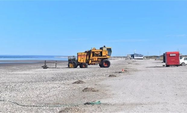 Reciclaron una cosechadora de trigo de 1985 para trabajar en el mar: la Gema playera que da batalla