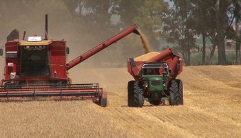 Freno a la inversión: la maquinaria agrícola se contagia de la economía argentina y advierten que "pueden pasar muchas cosas"