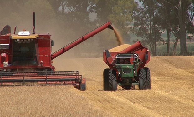 Freno a la inversión: la maquinaria agrícola se contagia de la economía argentina y advierten que "pueden pasar muchas cosas"