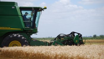 Brasil importaría 5,5 millones de toneladas de trigo en 2020