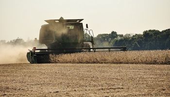 El campo ratificó su "compromiso histórico" de producir alimentos ante el coronavirus