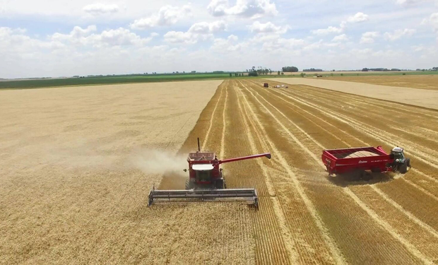 Las semillas que se acumulen en el sistema de grano limpio tienen un único destino, la tolva.