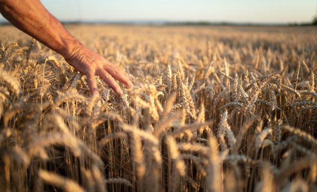 YPF Agro en A Todo Trigo 2022: cómo es la oferta integral para la nueva campaña